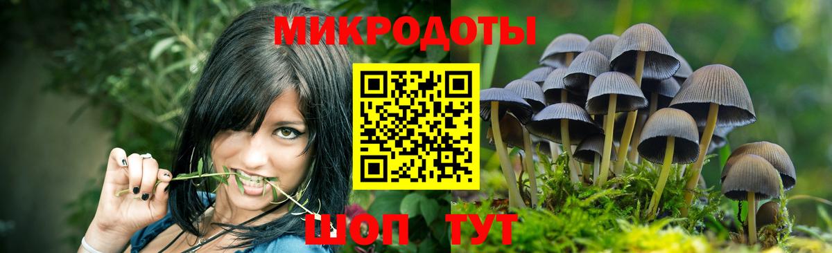 Галлюциногенные грибы мицелий  Вход с VPN  где купить наркоту  Галлюциногенные грибы прущие грибы  Тында 